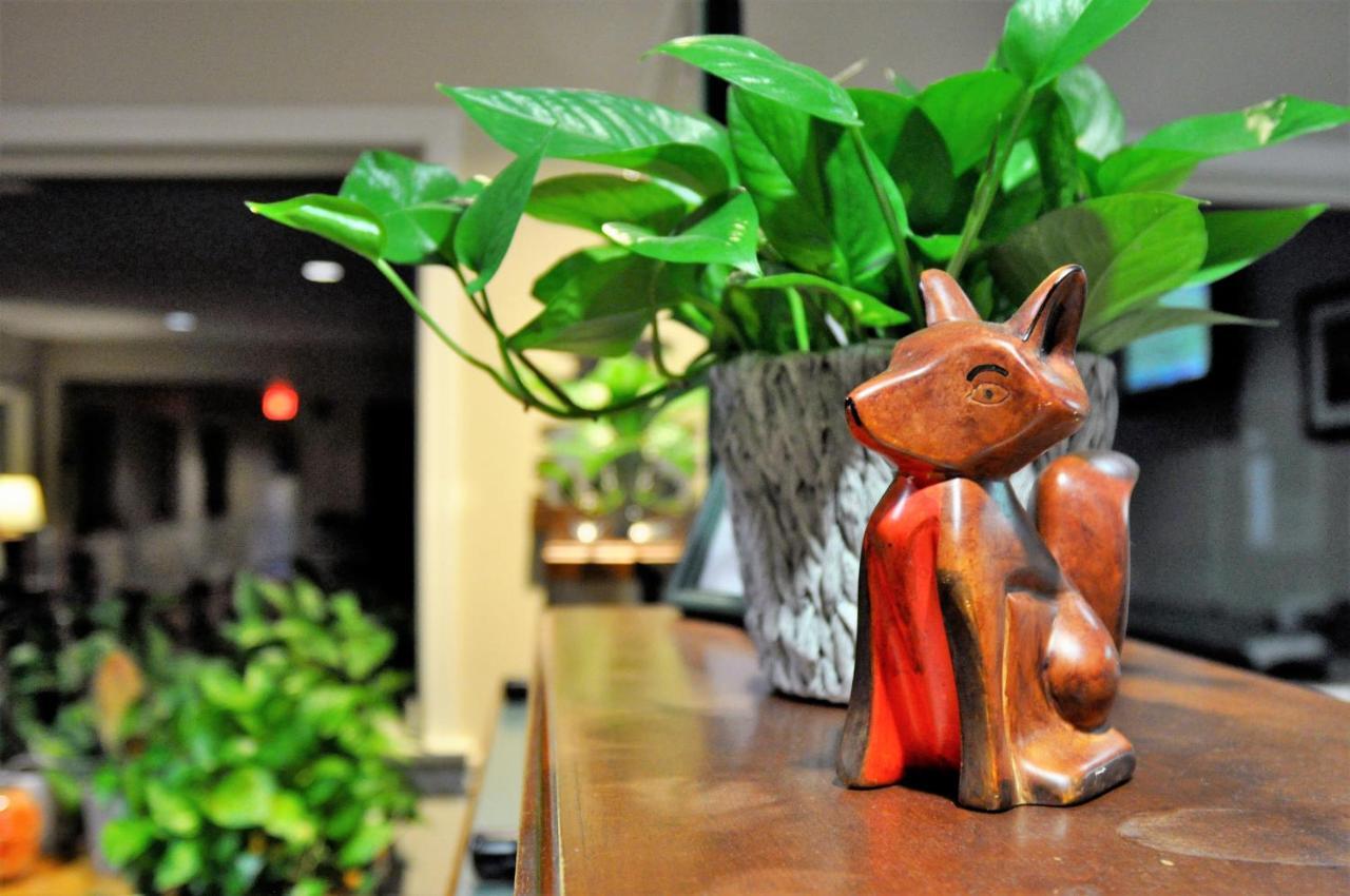 Fox Ridge Resort North Conway Ngoại thất bức ảnh