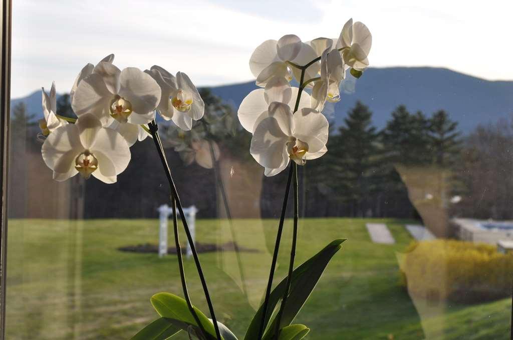 Fox Ridge Resort North Conway Ngoại thất bức ảnh