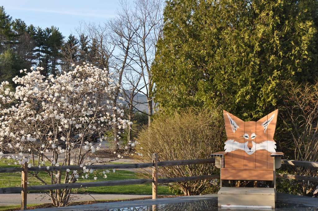 Fox Ridge Resort North Conway Ngoại thất bức ảnh