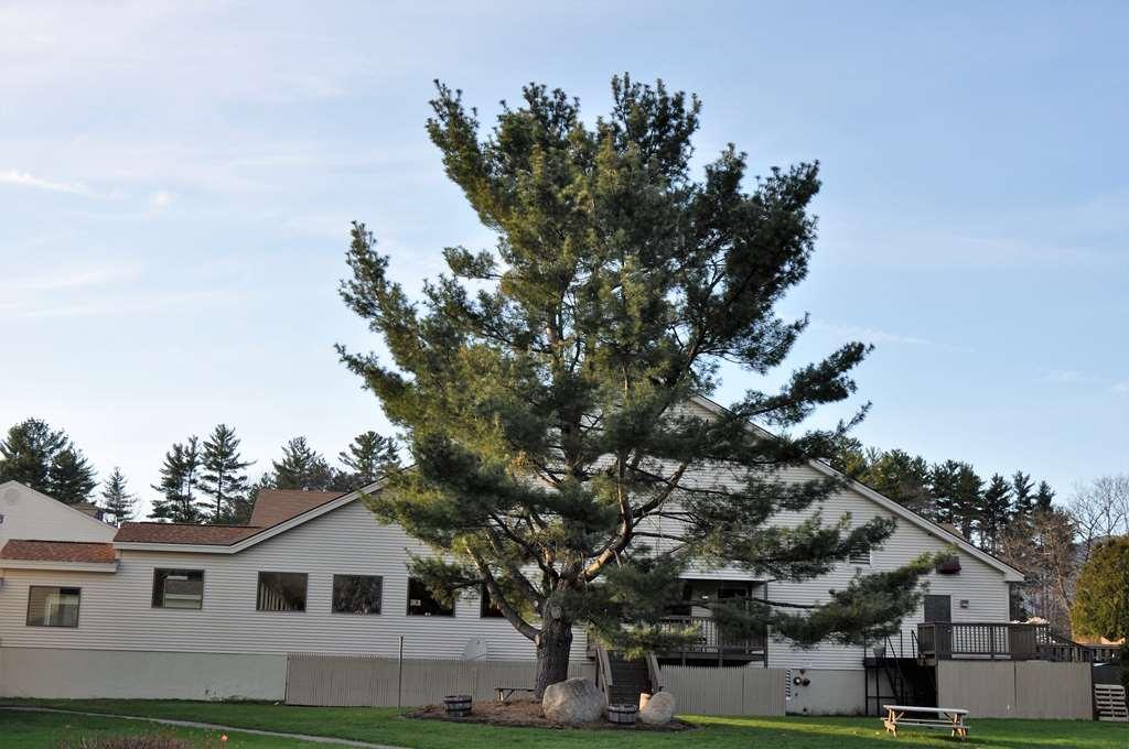Fox Ridge Resort North Conway Ngoại thất bức ảnh