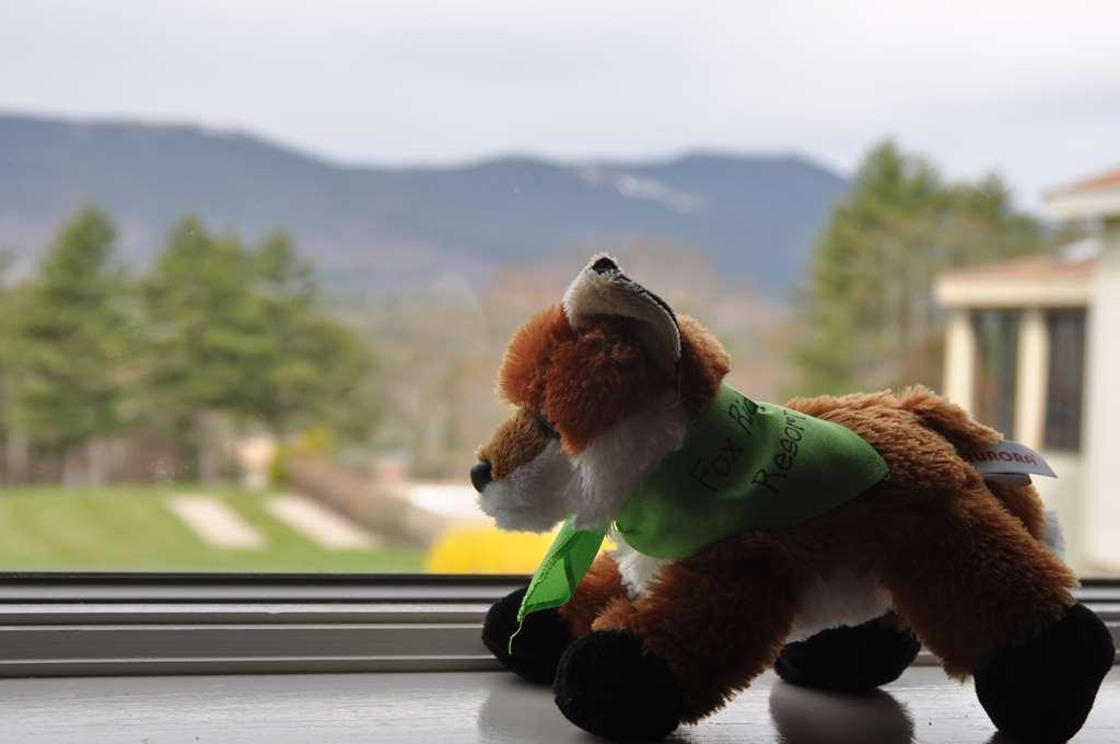 Fox Ridge Resort North Conway Ngoại thất bức ảnh